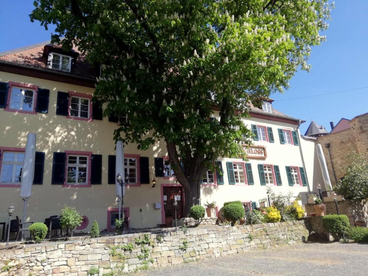 Hotel Am Schloss Альцай Экстерьер фото